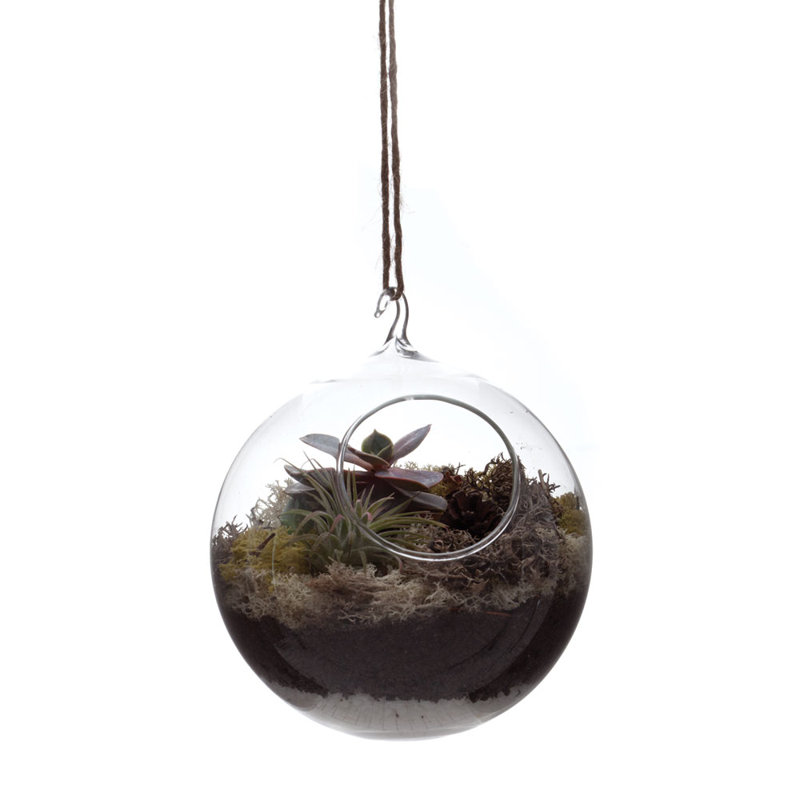 Hana Glass Wall Vase