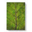 Leaf Lines - Wrapped Canvas-56667339