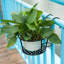 Plant Stand