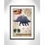 Décalcomanie murale Dinosaures-02 '-47836483-47836495
