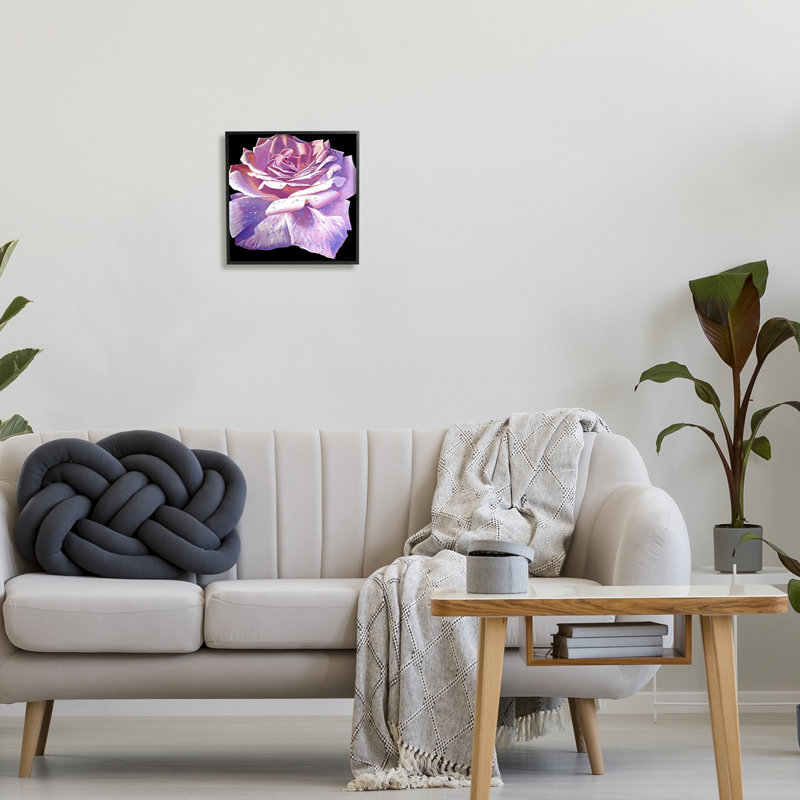 Pétales de rose luxuriants, Giclée encadrée noir minuit, H 12 po x l 12 po x P 1,5 po