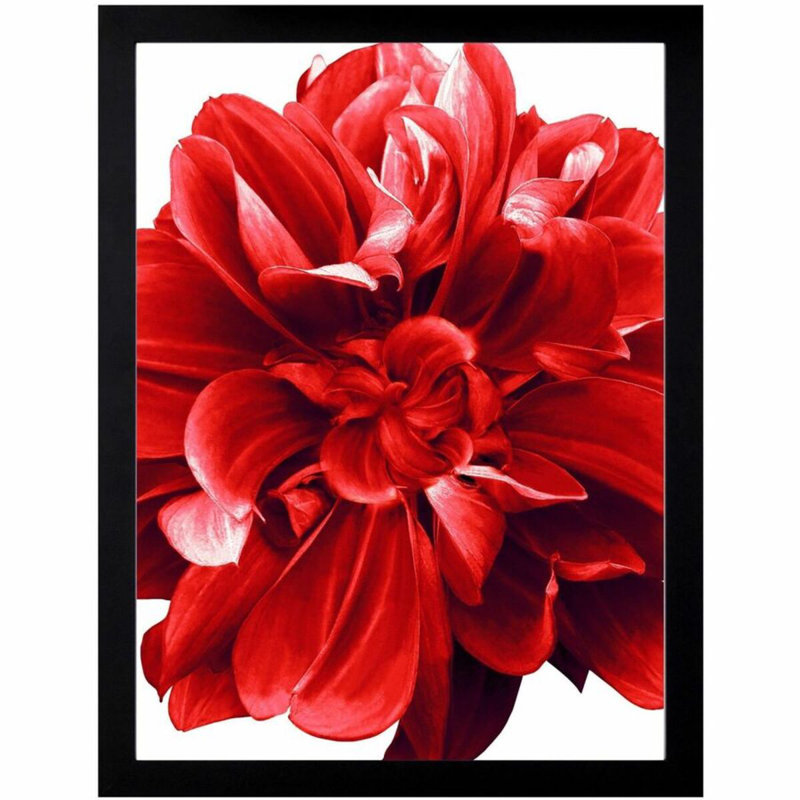 Lorell Wide Frame