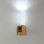 Cinema LED Armed Sconce
