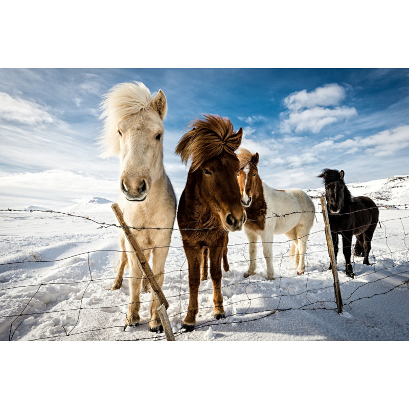 Wrapped Canvas Print, 60.96 cm H x 91.44 cm W