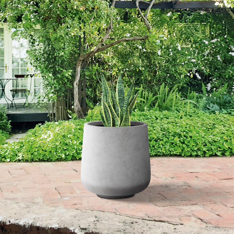 Pot à fleurs en béton Laihla, Gris foncé, H 13,4 po x l 13 po x P 13 po