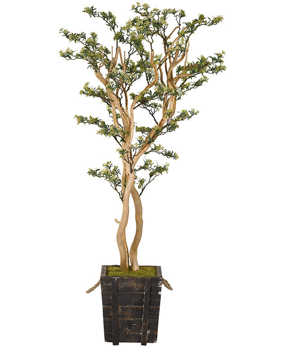 Arbre de sol en forme de sedum copaining