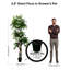 Ficus artificiel de 6,5 po fabriqué à la main Primrue