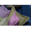 Addicted Square Cushion-46299398-46299544