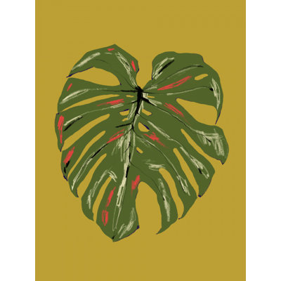 Monstera Leaf