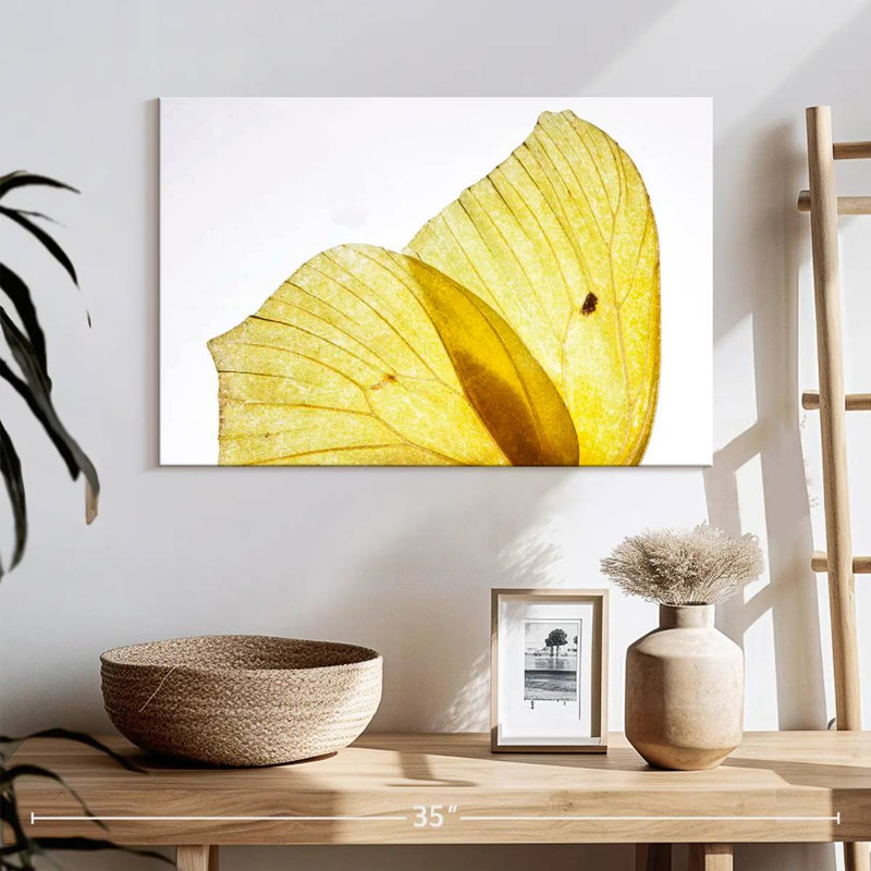 Ailes de papillon Brampt jaune doré, H 16 po x l 24 po