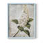 Série FLORAL CCLX - reproduction encadrée de qualité supérieure - prête à être accrochée - aucun clou requis-258717744-258717747