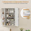 Armoire à pharmacie à 1 porte avec 6 tablettes à fixation en surface Jeaniène