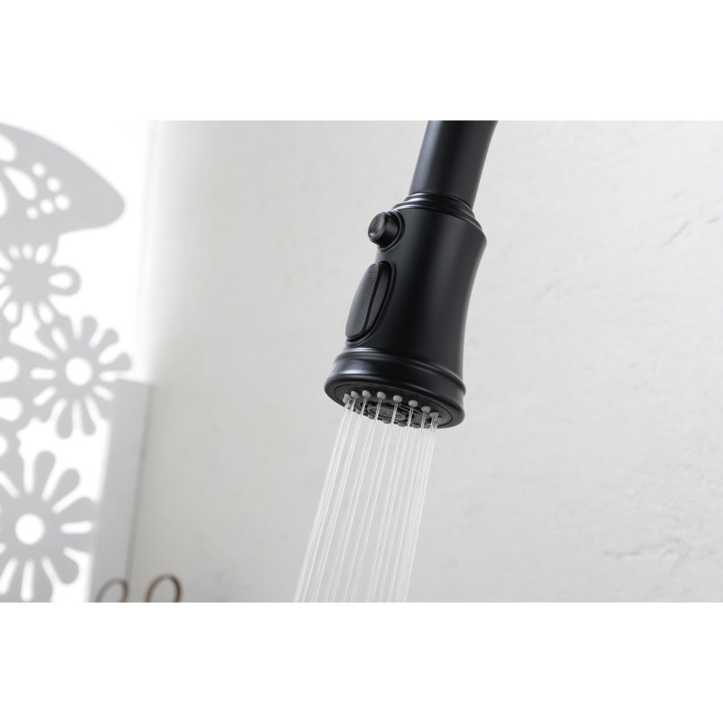 Robinet de cuisine en acier inoxydable noir mat avec douchette extractible, buse rotative à 360 ° pour une utilisation parfaite, corrosion et rouille, poignée simple pour réguler le débit d'eau Noir, acier, livraison pratique, contrôle