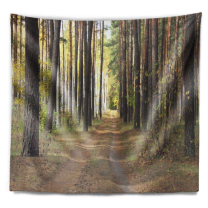 Sentier dans la tapisserie de la forêt de pins d'automne, H 50 po x l 60 po