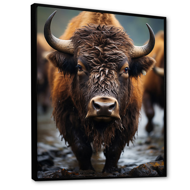 Buffalo National Photo - animaux, impressions sur toile, H 44 po x l 34 po x P 1,5 po, Cadre flottant noir