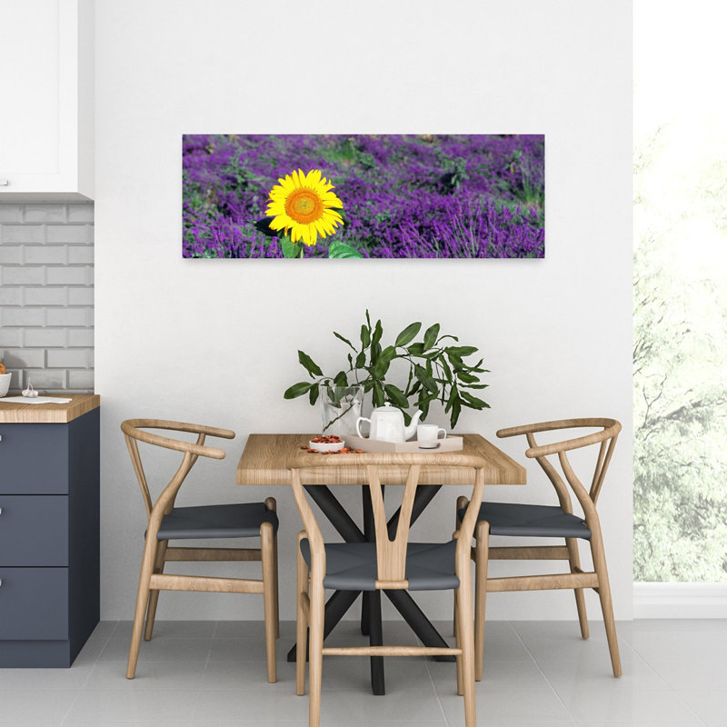 Tournesol solitaire dans un champ de lavande, France, H 12 po x l 36 po