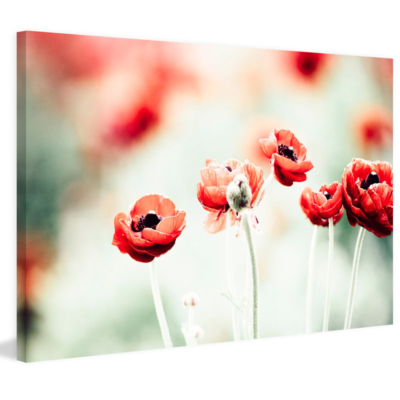 Morgan J Hartley - Wrapped Canvas Print, 76cm H x 114cm W x 3.81cm D