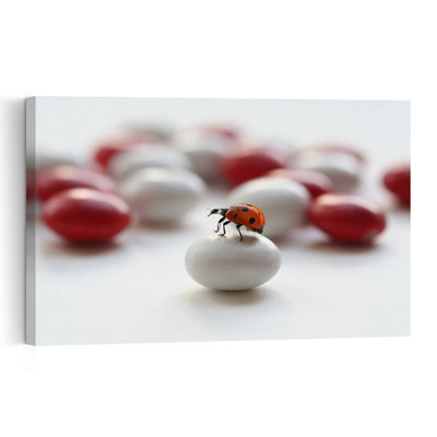 Sweet Ladybug Candy Ladybug Nature Summer Wall Art Print by Ellen van Deelen - 1 Piece Wrapped Canvas Wall Art
