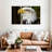 Brampt Fierce Bald Eagle-108105745