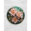 Horloge murale florale en verre trempé, horloge florale verte et pêche-2097601000-2097601002