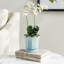 Conservatory Planter-2145801923-2145801920