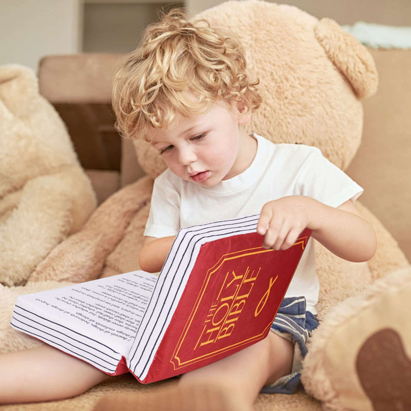 Coussin The Bible Bible, Mauve