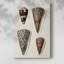 Collection Cone Shell I -Gallery Wraraped Cavas-2086484121