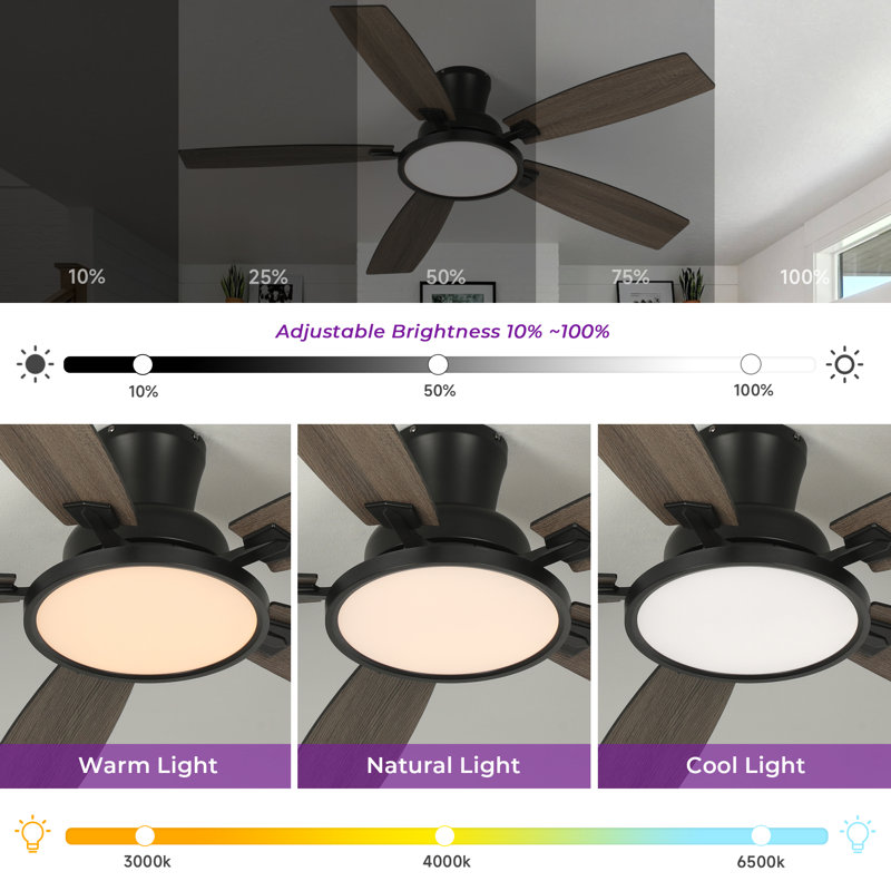 Karlena 52'' Ceiling Fan With Led Lights And Remote Control, Black with Black/Brown Blades