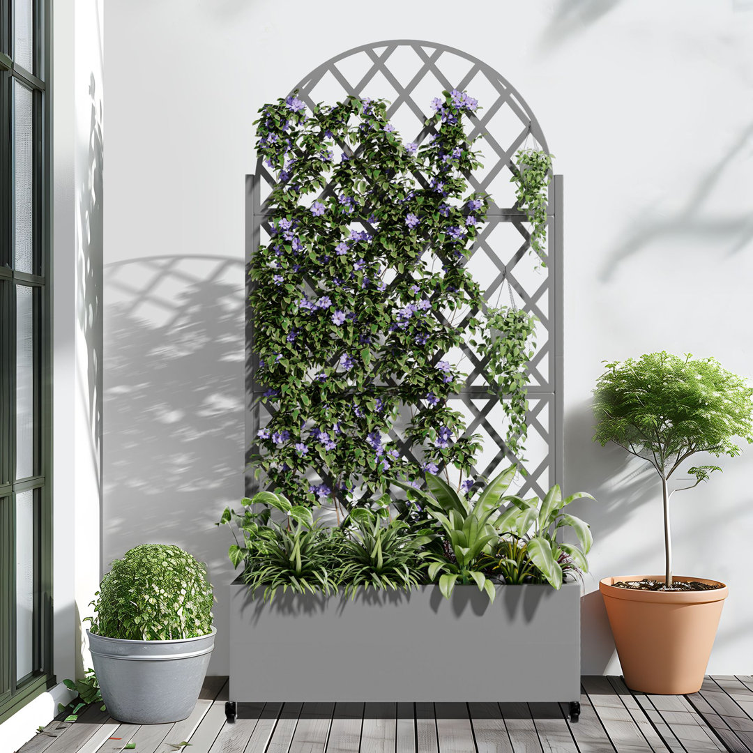 73"H×35"W Arch Metal Planter Box with Trellis with Wheels Arlmont & Co. 