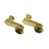 Polished Brass