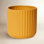 Evie Ceramic Pot Planter