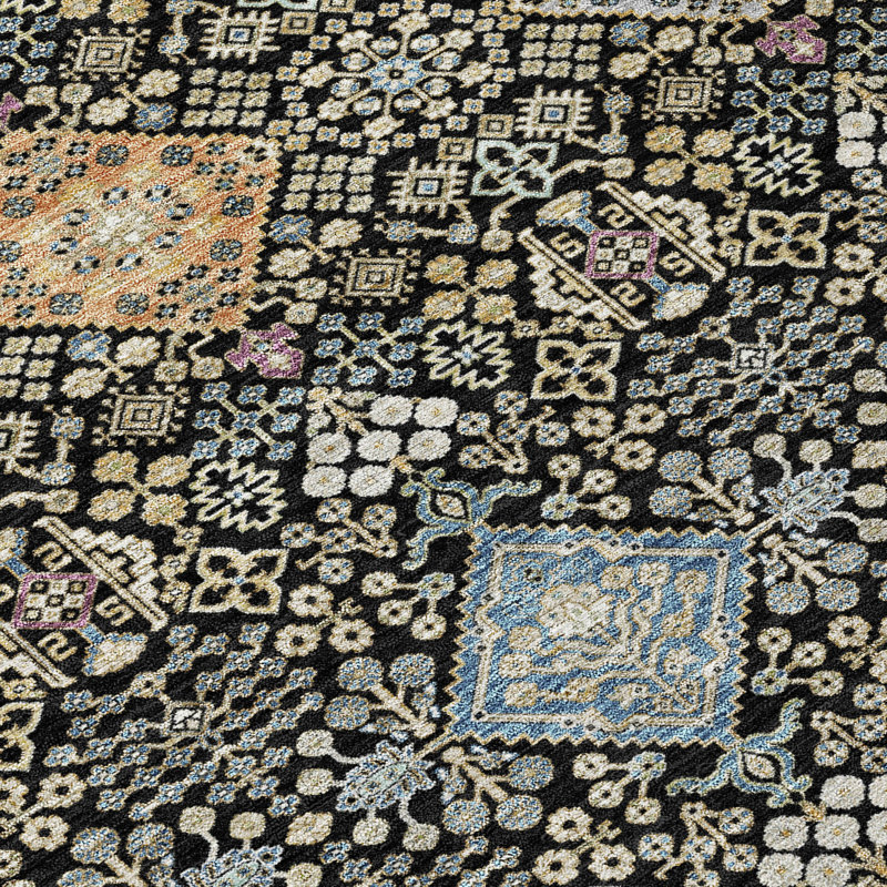 Machine Washable Indoor/Outdoor Chantille ACN2440 Traditional Rug, 10' x 14', Black