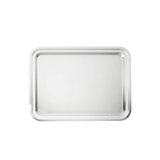 Elite Stainless Steel Tray