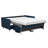 Melieck 2-Seat Velvet Sleeper Sofa with Mattress-1703762078