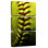 Softball