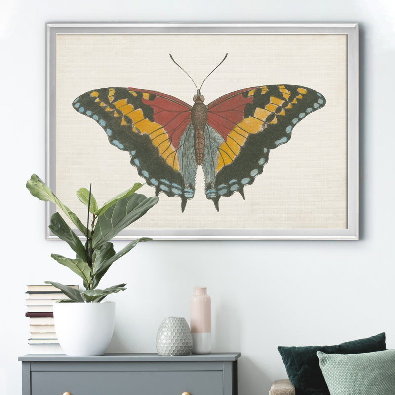 «Beautiful Butterfly IV», impression sur toile encadrée, H 18,5 po x l 24,5 po x P 1,5 po, Argent