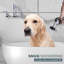 Robinet de toilettage mural pour animaux 8 po