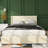 Storage Bed-600897187-600896148-599546288