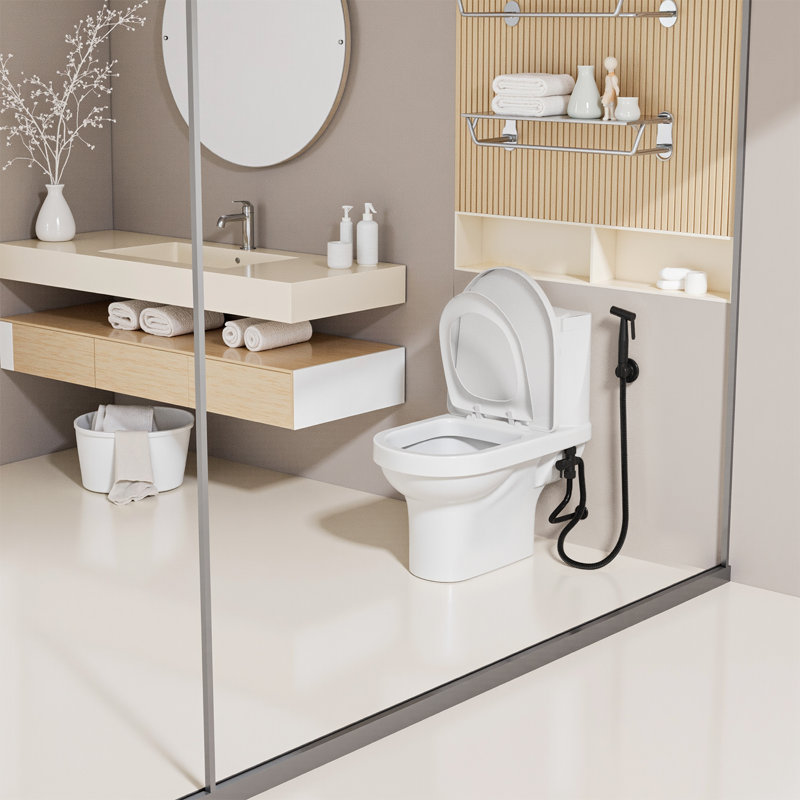 Robinet de toilette mural pour bidet, Noir mat