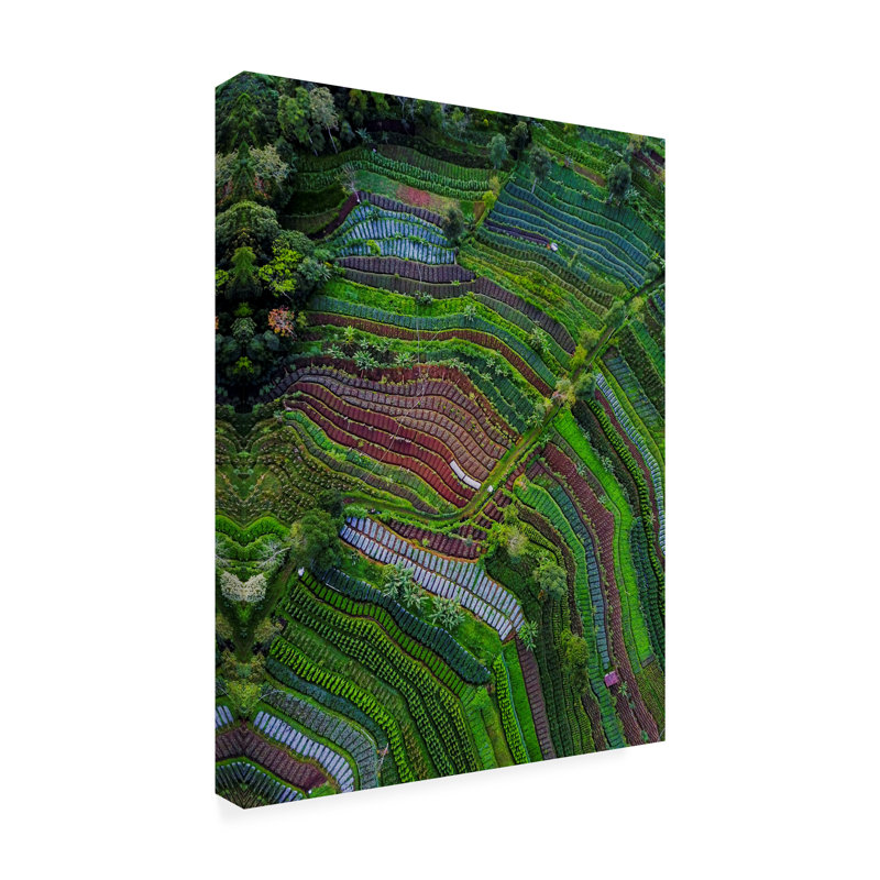 Farid Yuwono  Pattern Canvas Art, 18" H x 24" W
