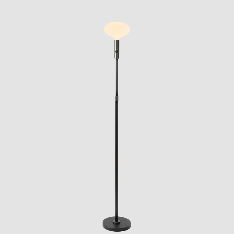 Lampe sur pied réglable Poise en graphite avec ampoule ovale