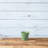 Carrero Pot Planter-579612687-579612681
