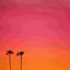 «Los Angeles Sunset» par Catherine Mcdonald - impression
