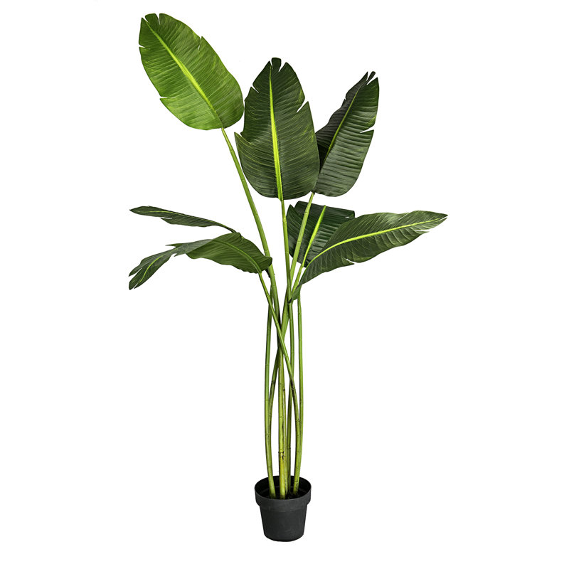 78'' Faux Banana Leaf Tree in Pot