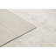 Area Rug in Beige