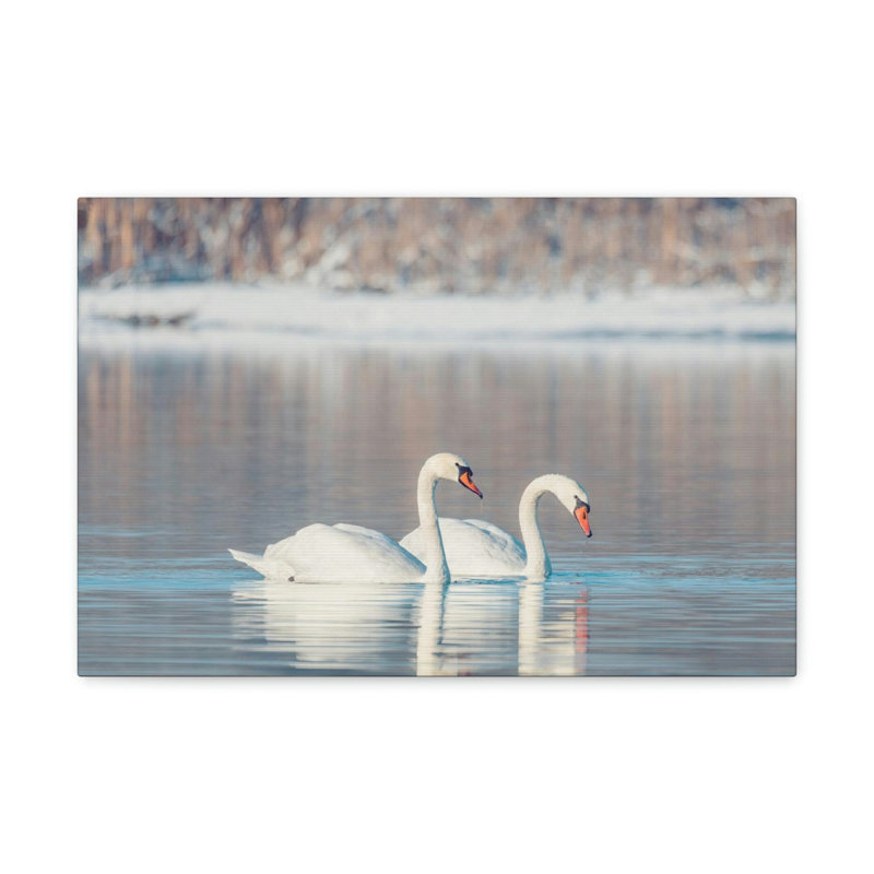 No Frame Print on Canvas, 18cm H x 12cm W