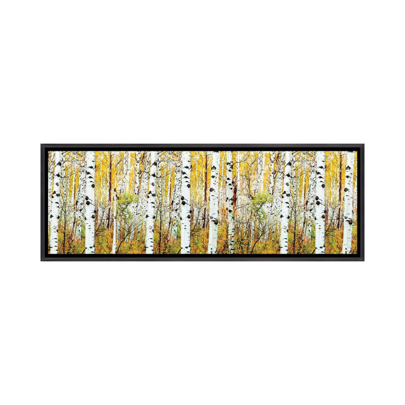 «Aspen Trees Panorama, Colorado» par Susanne Kremer, impression panoramique sur toile, H 24 po x l 72 po x P 1,5 po