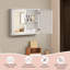 600mm W 500mm H Medicine Cabinet Mirror