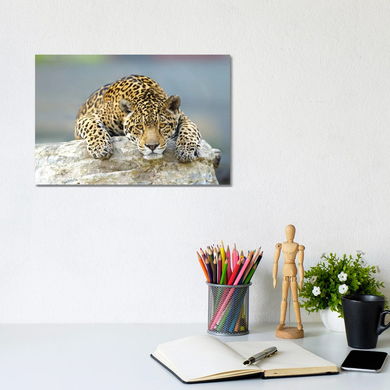 Jaguar XII by Goran Anastasovski - Wrapped Canvas Print, 20.32 cm H x 30.48 cm W