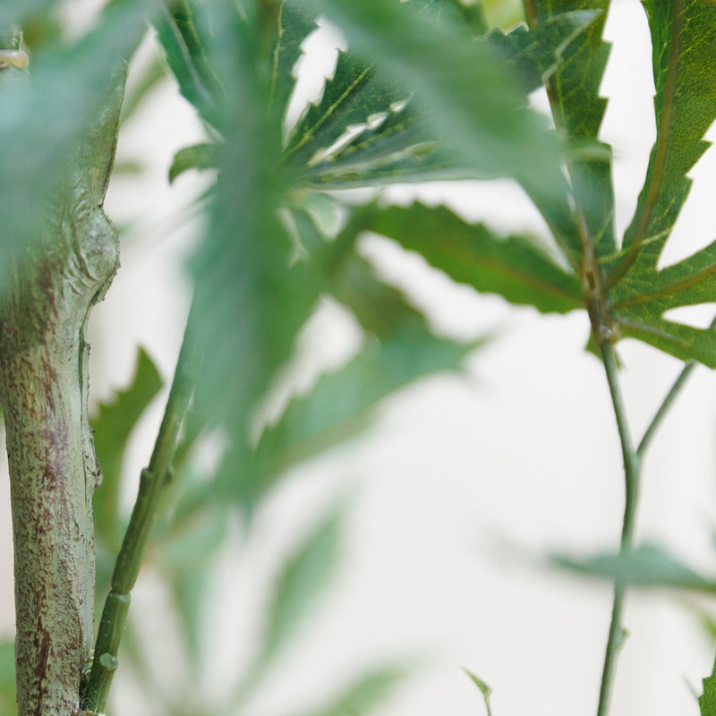 Fausse plante 51,5 po Roemer dans un panier en corde | Décorations amusantes pour la maison | Décorations universitaires | Décoration cannabique